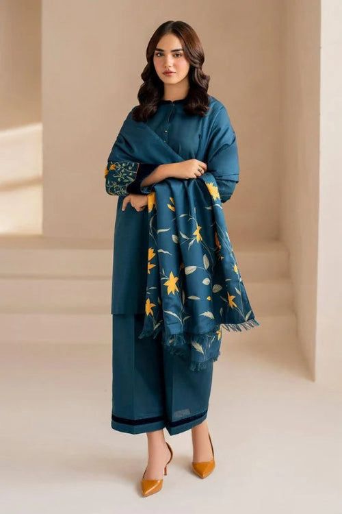 Stylish Dhanak Winter Dress