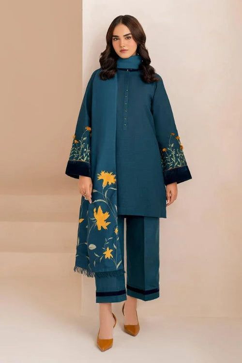 Stylish Dhanak Winter Dress
