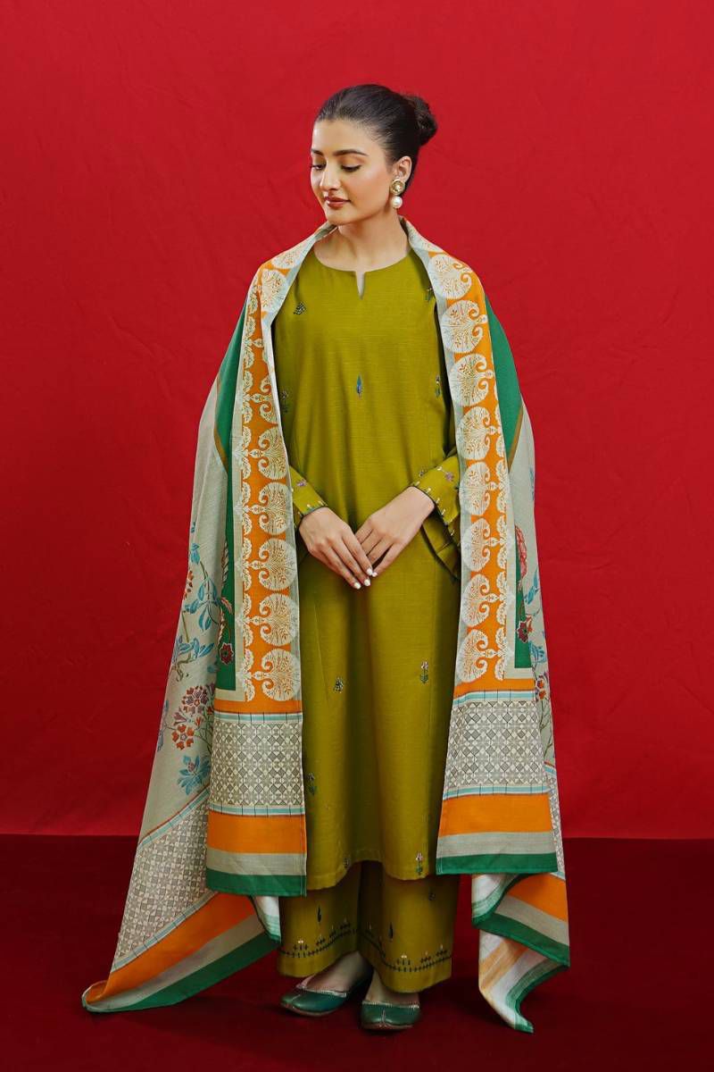 Elegant Dhanak 3PC Dress