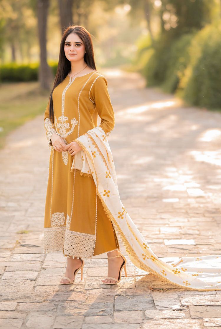 Elegant Threads Dhanak Suit