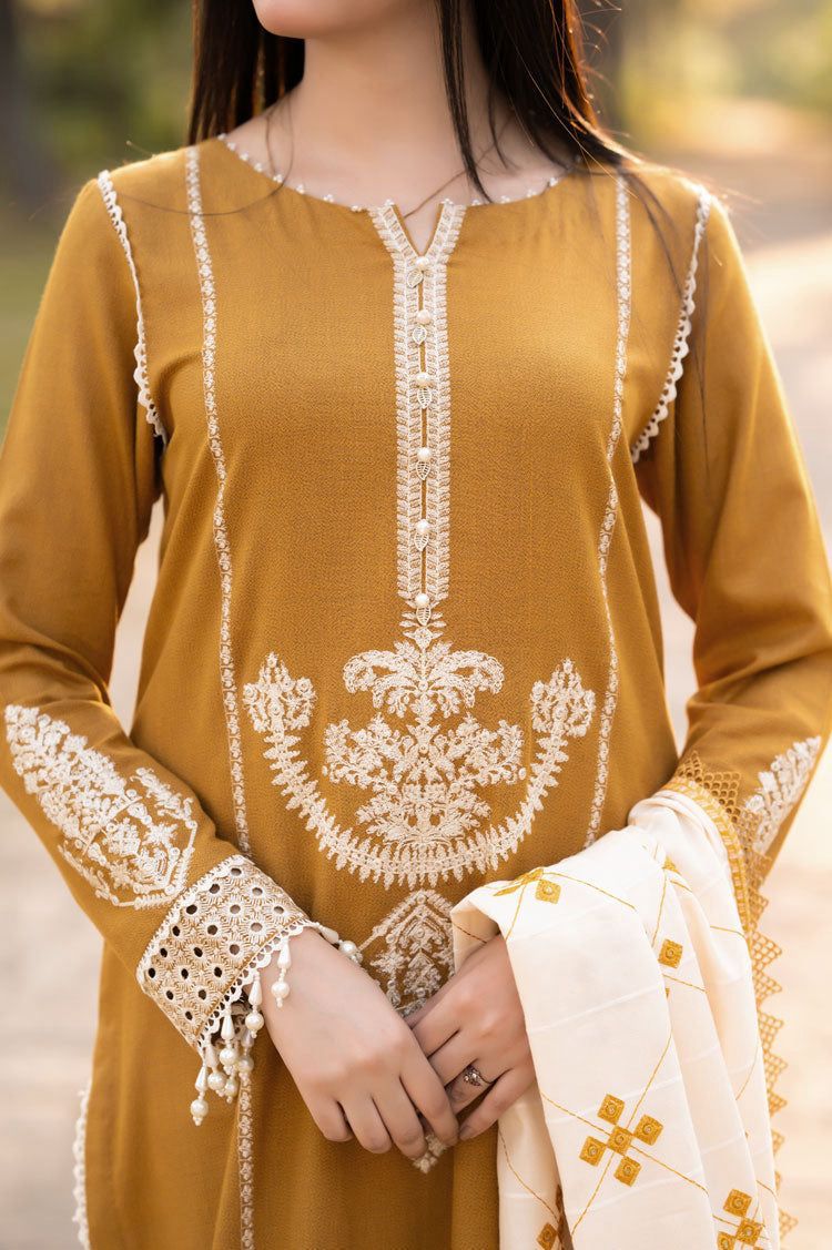 Elegant Threads Dhanak Suit